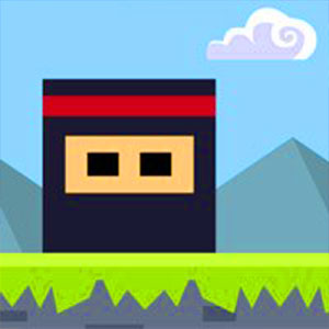 Ninja Block
